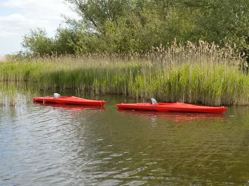Kayak para 1 persona