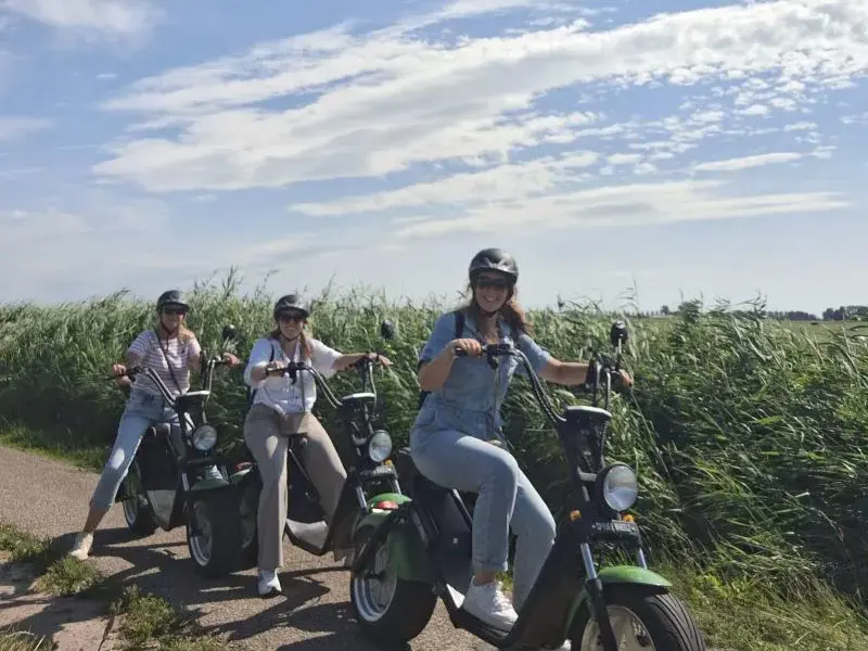 Weerribben Chopper & Vertier