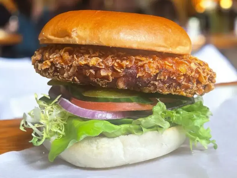 Burgerspecial met friet